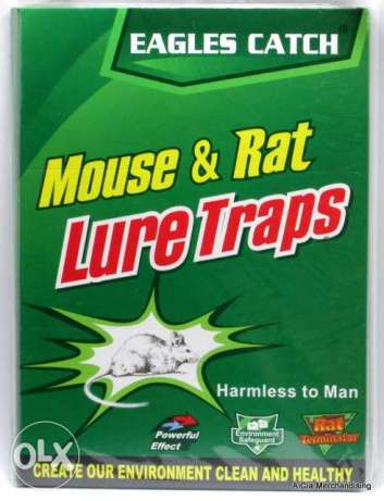 Super Glue Rat Mouse Board Trap