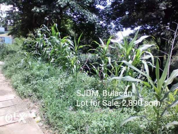 San Jose Del Monte Bulacan lot For Sale
