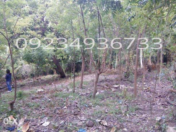 Commercial and Residential Subdivided lot for Sale