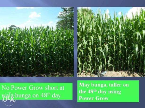 Dynapharm Power Grow Organic Foliar Fertilizer Red and Green