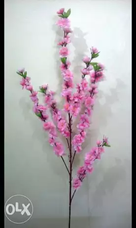 Cherry Blossom Stems